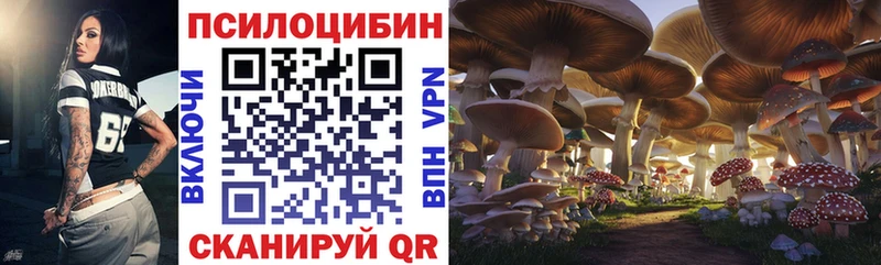 Галлюциногенные грибы GOLDEN TEACHER  нарко площадка телеграм  Семилуки 