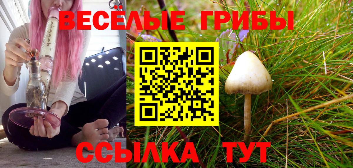 Галлюциногенные грибы прущие грибы  Вход с VPN  Псилоцибиновые грибы Psilocybine cubensis  Семилуки 